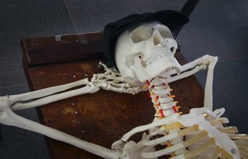 „Frankenšteins 2.0”. Dāvja Sīmaņa versija