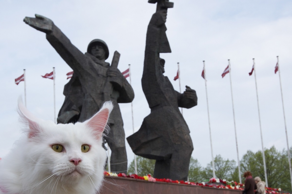 Jon Bang Carlsen, "Rīgas kaķi / Cats of Riga" (2014)