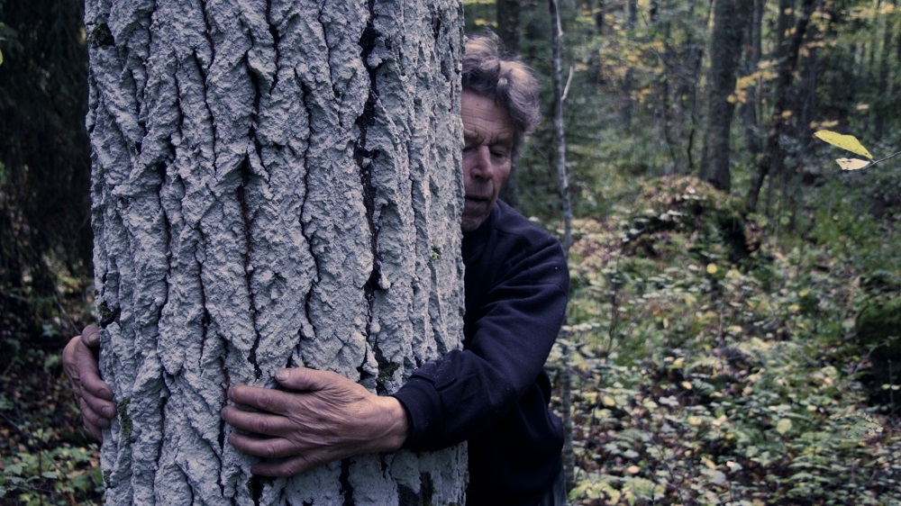 Kadrs no filmas "Es dodos mežā"